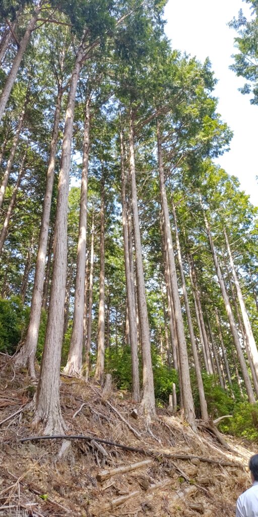 石川事務所リノベーションpart①